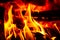 Infernal Essence: Close-Up of Fiery Wood Fire