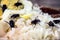 Infestation of flies on food, rice and rotten eggs, insects indoors, house pest