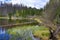 Infested trees, hilly landscape, Lake Laka, Å umava, Czech Republic