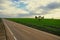 infinite road surrounded by greenery