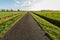 Infinitely long asphalt road in a rural area