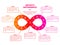 Infinity infographic. Diagram continuous, step by step business website presentation template. Infinite symbol, agile