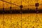 An infinity mirror room full with yellow and black polka dots pumpkins installation art by Japanese artist, Kusama Yayoi.