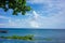 Infinity pool with plant vegetation and wide ocean view