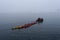 Inflatable boat full of tourists towing red and yellow sea kayaks in Paradise Bay, Antarctica