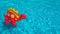 Inflatable dinosaur in clean rippling pool water. Summer vacation sale concept. A red children`s toy floats isolated in
