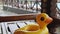 An inflatable duck lies on wooden table in gazebo at recreation center against the backdrop of pool covered with rain