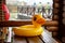 An inflatable duck lies on wooden table in gazebo at recreation center against the backdrop of pool covered with rain