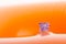 Inflatable orange bath cushion with valve