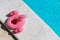 Inflatable pink mini flamingo near swimming pool on bright sunny day, copy space. Concept summer vacation, entertainment, water,
