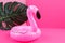 Inflatable pink mini flamingo and tropical leaf monstera on pink background. Creative summer beach concept. Flamingo Trend