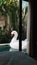 Inflatable white swan float on a pool outside a house
