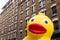 Inflatable yellow duck face standing in front of houses