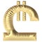 inflated golden shiny GEORGIAN LARI currency symbol
