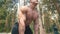 Inflated muscular man picks up huge heavy kettlebell - workout in forest