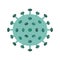 Influenza Microorganisms Virus Vector