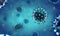 Influenza virus cells
