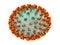 Influenza virus H3M2 strain