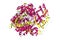 Influenza A virus H7N9 polymerase elongation complex. Ribbons diagram in secondary structure coloring. 3d illustration