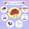 Info graphics Proper nutrition for the brain