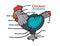 Infographic anatomy of a chicken.