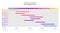 Infographic business template. Monthly modern Timeline Gantt chart with table. Concept presentation