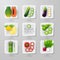 Infographic food vegetables flat lay idea. Vector illustration