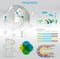 Infographic graphs and elements.