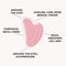 Infographic of how to use gua sha scraping massage stone dolphin shaped is made of rose quartz. Home beauty skin care routine and
