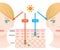 Infographic illustration of difference between UVA and UVB rays.  UV penetration into human skin and white woman face. skin care