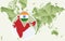 Infographic for India, detailed map of India with flag