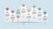 Infographic Industry 4.0 template. Icons in different colors. Include Industry 4.0, Blockchain, Automation