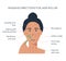 Infographic of jade face roller. Massage direction for facial yoga. A woman massaging her face. Acupuncture anti-aging