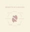 Infographic poster of benefits of a gua sha facial massage.