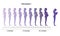 Infographic of pregnant woman in different period