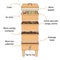 Infographic of vermicomposting. Components of vermicomposter. Vermicomposter schematic design. Worm composting. Recycling organic