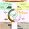 Infographics chicken. Mineral substances in meat, eggs, fertiliz