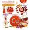 Infographics of the content of copper in natural organic food products