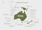 Infographics continent Australia and Oceania green and gray