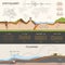 Infographics about the earthquake and tsunami