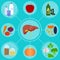 Infographics of food for healthy liver