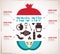 Infographics for Jewish New Year, hebrew happy new year, with traditional fruits