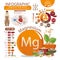 Infographics of magnesium content in natural organic food