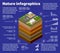 Infographics nature Geological and underground layers of soil under the isometric