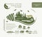 Infographics renewable source of biomass energy