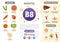 Infographics Vitamin B8.