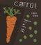 Information of carrot, nutrition facts concept