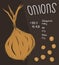 Information of onions, nutrition facts concept