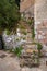 Information signboard by plants and steps outside old building in town