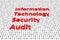 Information technology security audit